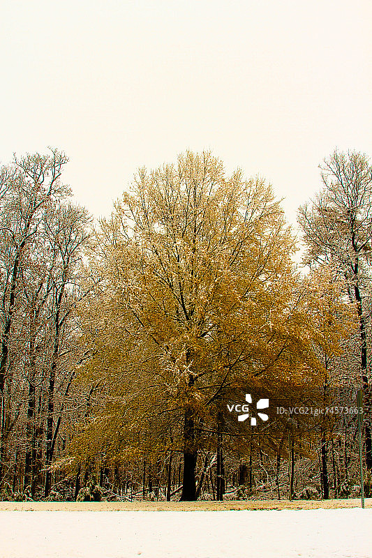 温特黑文图片素材