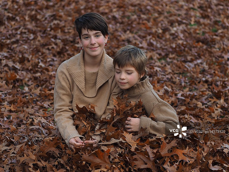 树叶被子图片素材