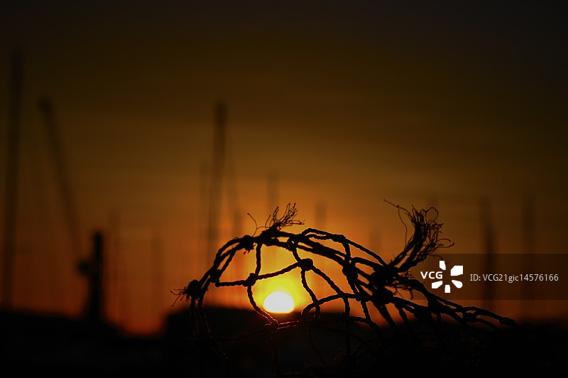 沐浴阳光图片素材