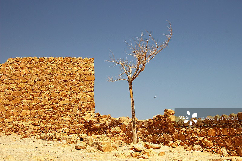 马察达图片素材