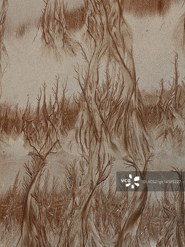 海滩上的分形图案图片素材