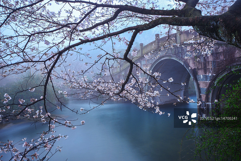 杭州太子湾公园图片素材