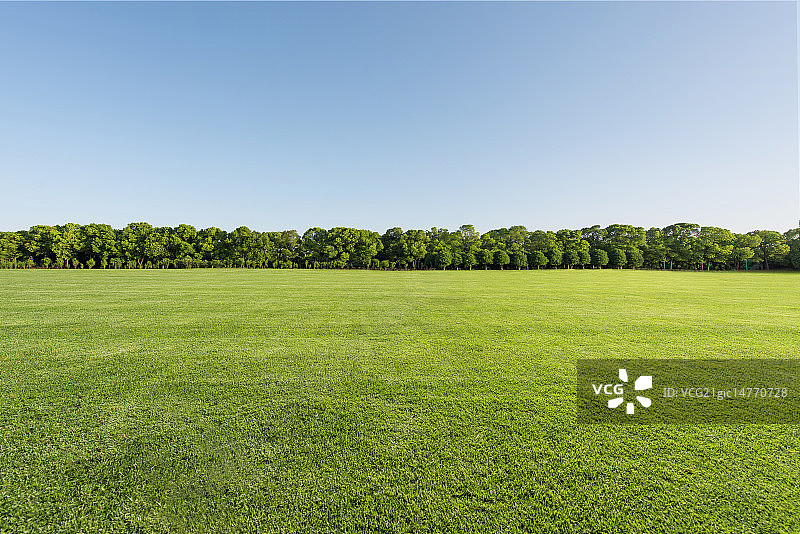 春天草地图片素材