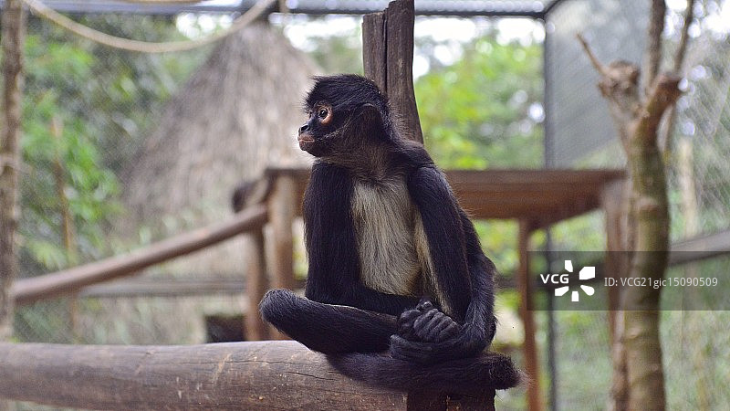我思故我在图片素材