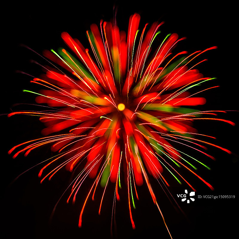 山龙眼图片素材