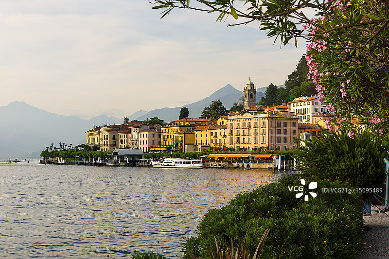 金色贝拉吉奥图片素材