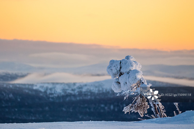 凛冬将至图片素材