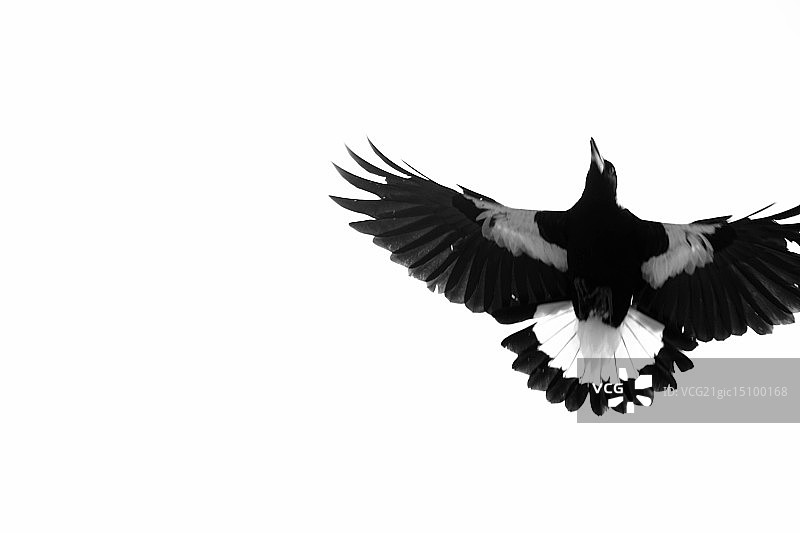 城堡岩的守护者图片素材