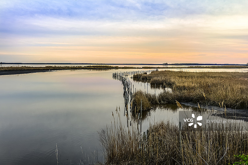 切萨皮克湾湿地图片素材
