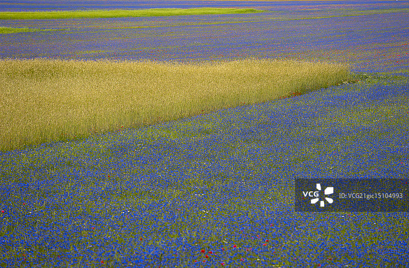 蓝色中的包容性图片素材