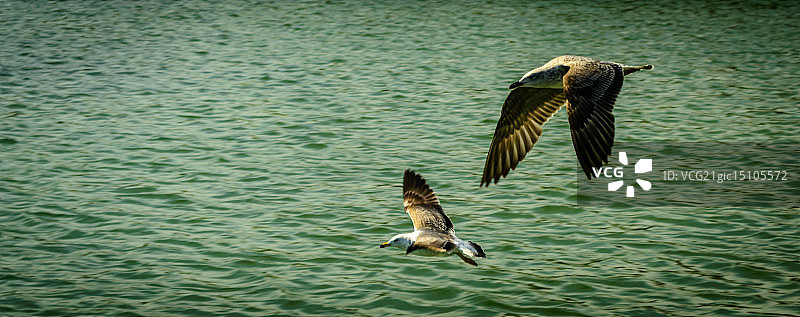 巴里岛和克纳普图片素材