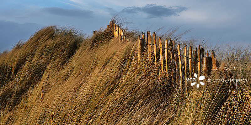 最后的光图片素材