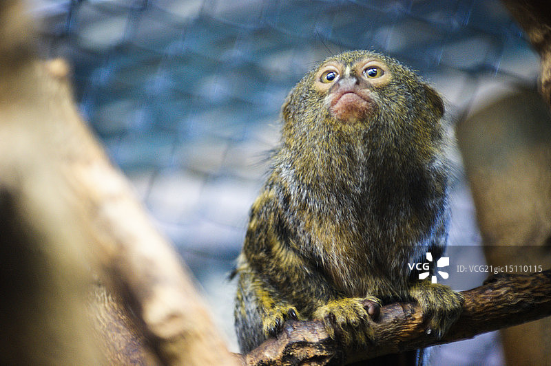 孩子们图片素材