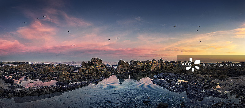 潮汐池图片素材