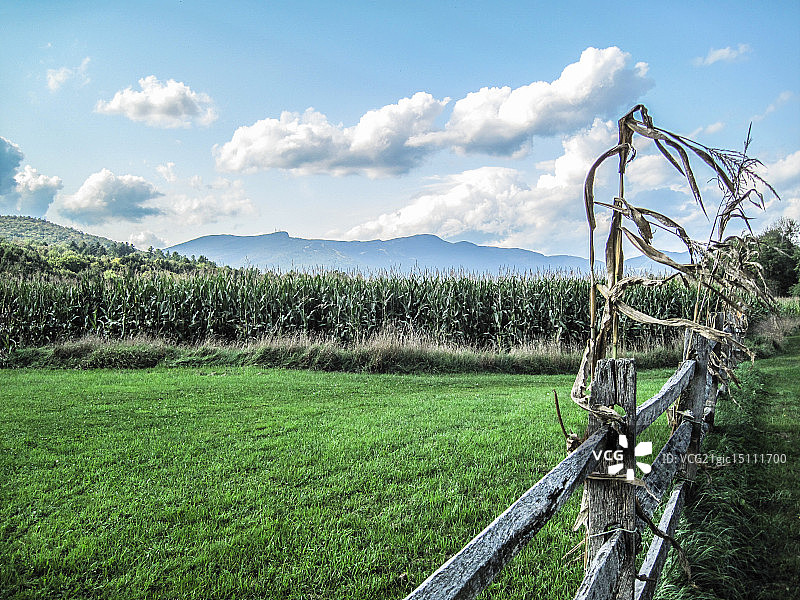 曼斯菲尔德山，佛蒙特州图片素材