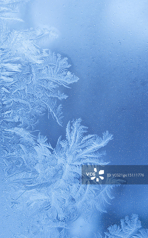 冬天的背景图片素材