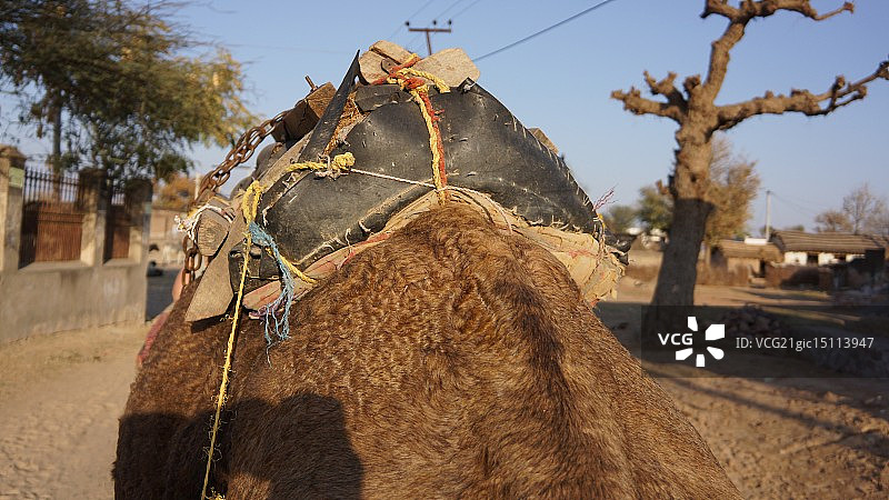 骆驼鞍图片素材