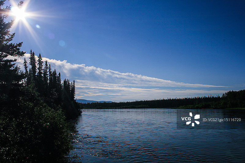 育空河卡马克斯附近图片素材
