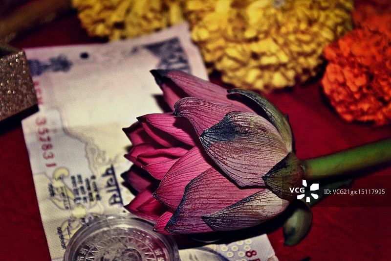 莲花和卢比符号图片素材