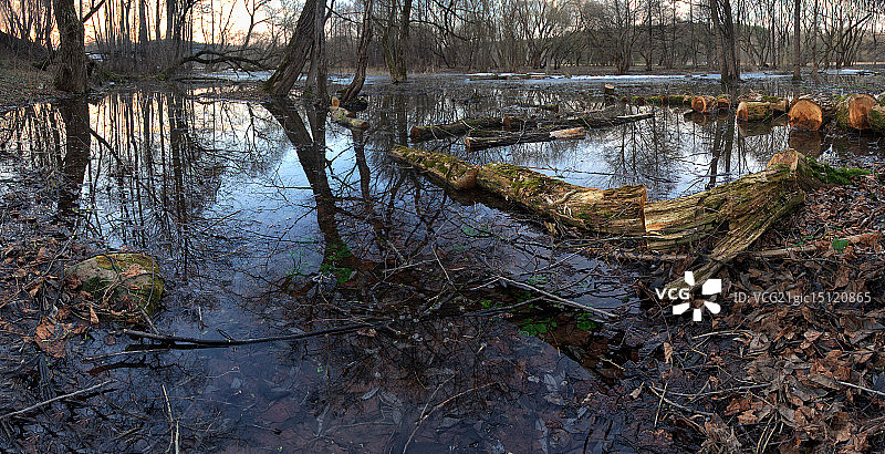 沼泽图片素材