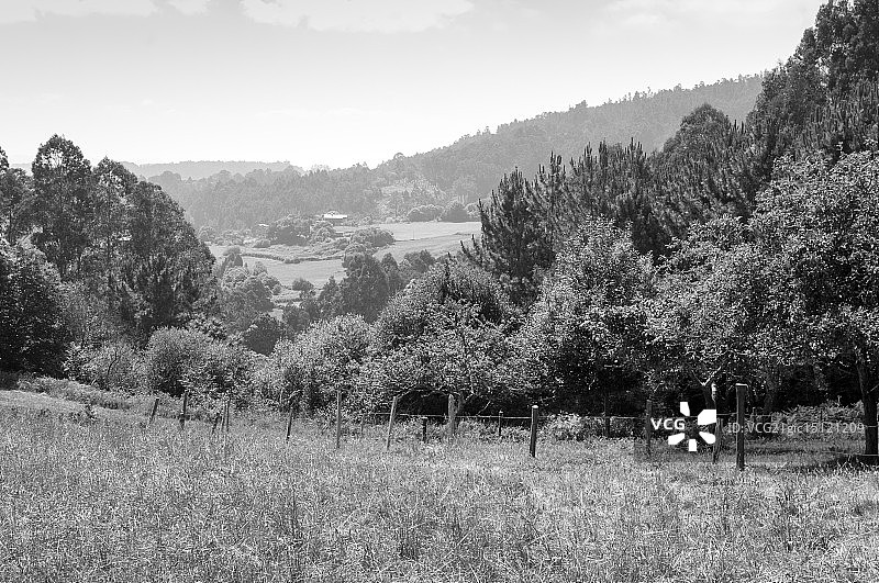 格兰德尔图片素材