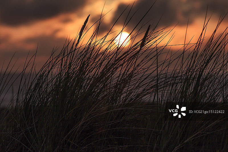 荷兰特塞尔岛日落图片素材