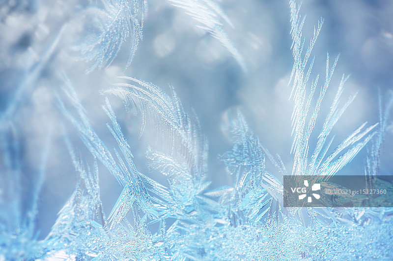 冷艳美女图片素材