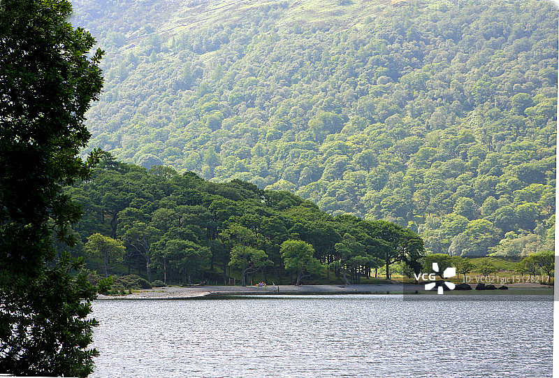 黄油机图片素材