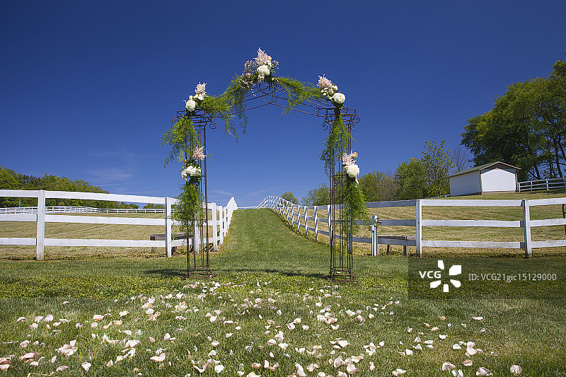 婚礼花卉拱门图片素材