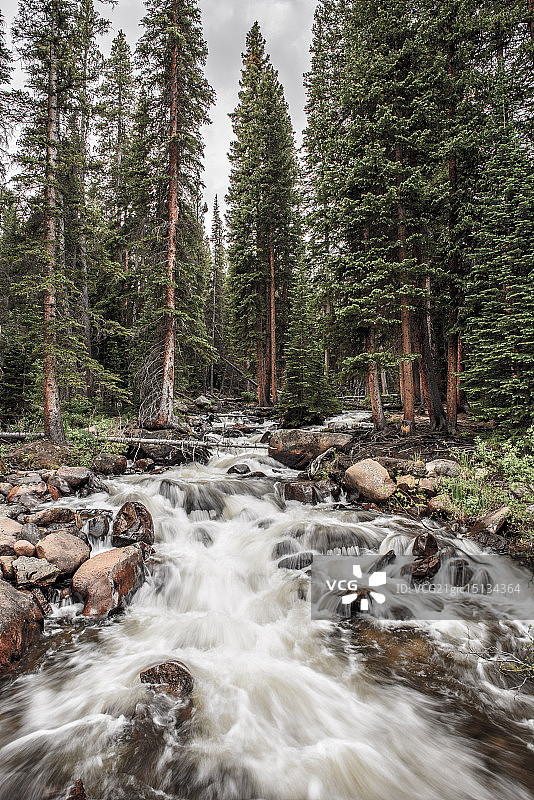 莱德维尔科罗拉多州的巴斯克溪图片素材