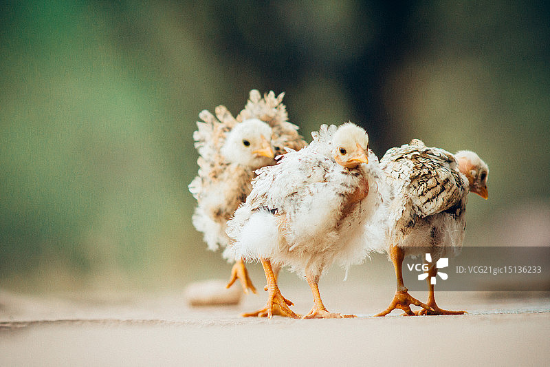 时尚人群图片素材