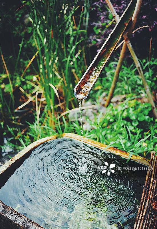 山里的春天图片素材