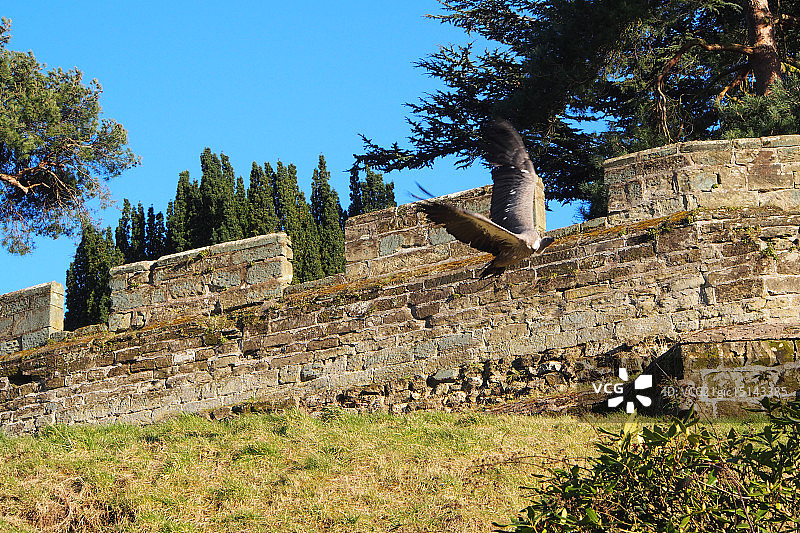 英国沃里克城堡图片素材