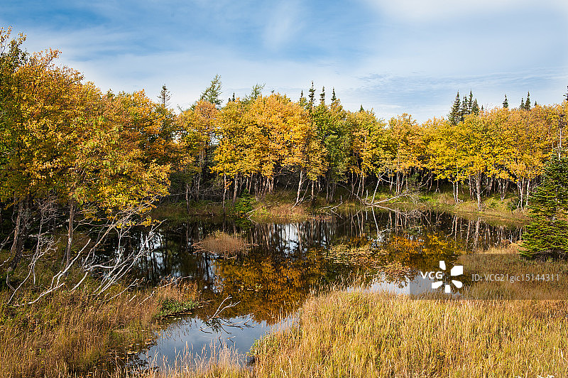 纽芬兰的秋天图片素材