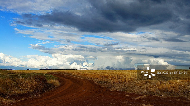 肯尼亚山图片素材