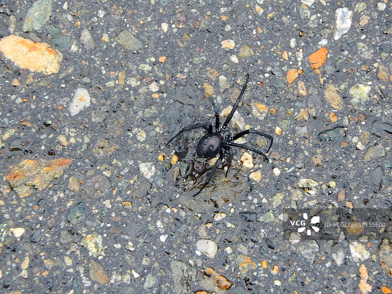 摄影师：Dana Bradbury-Stepan图片素材