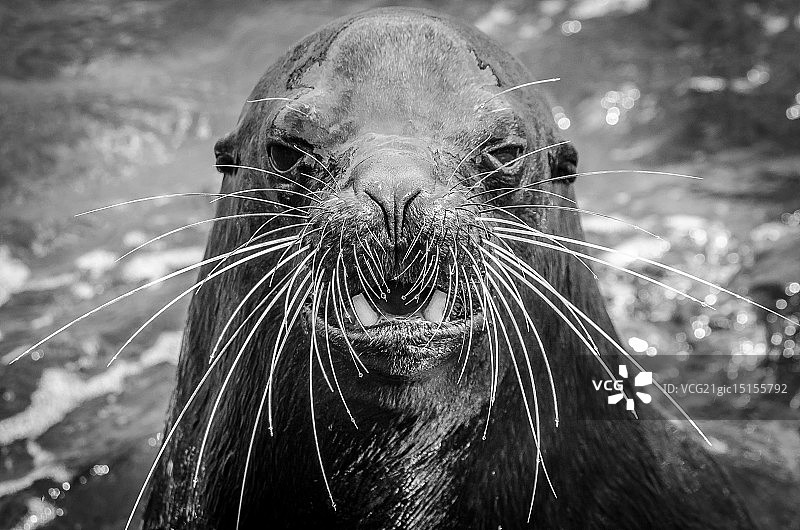 你看什么呢？！图片素材