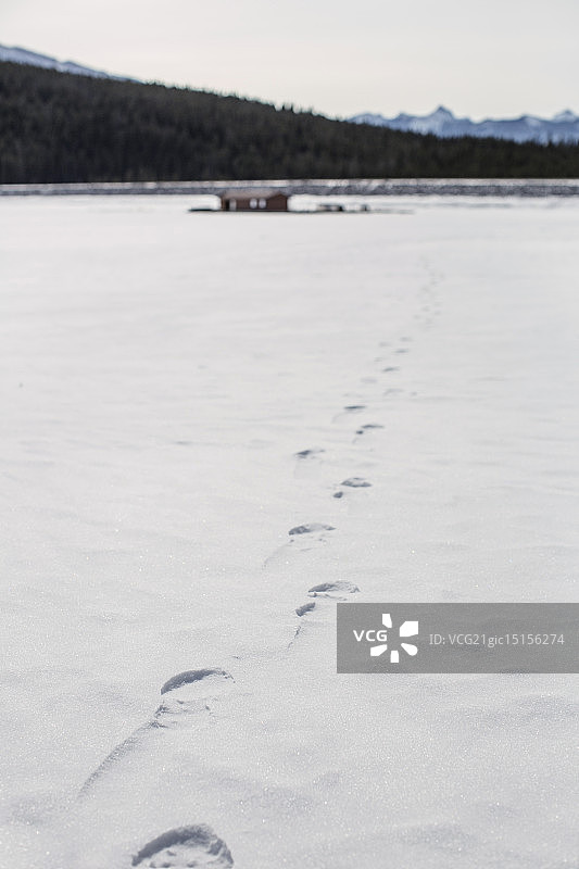 艾伯塔省图片素材