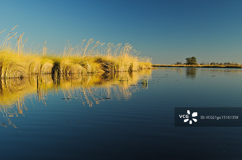 奥卡万戈三角洲图片素材