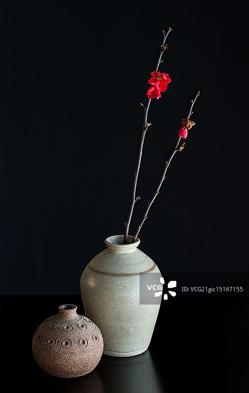 配有日本木瓜花的花瓶图片素材