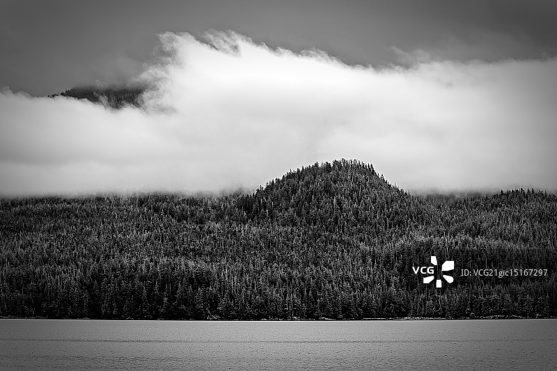 阿拉斯加森林(黑与白)图片素材