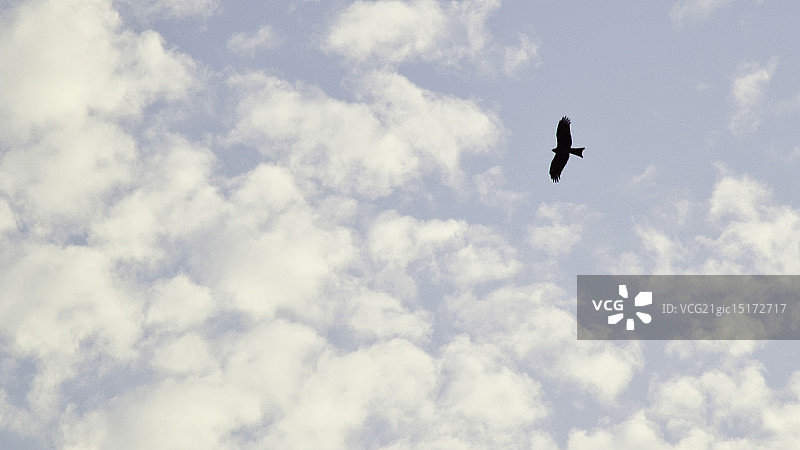 感受自由图片素材