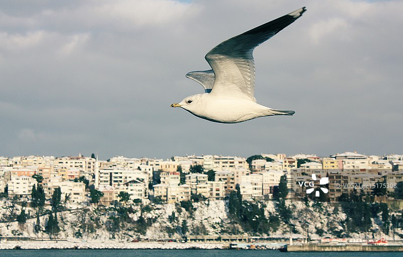 伊斯坦布尔金角湾图片素材