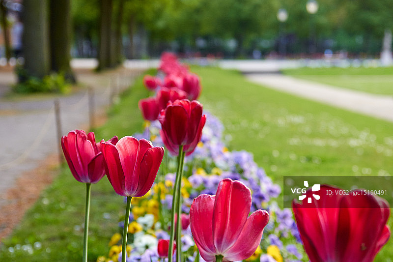 夏洛滕堡图片素材