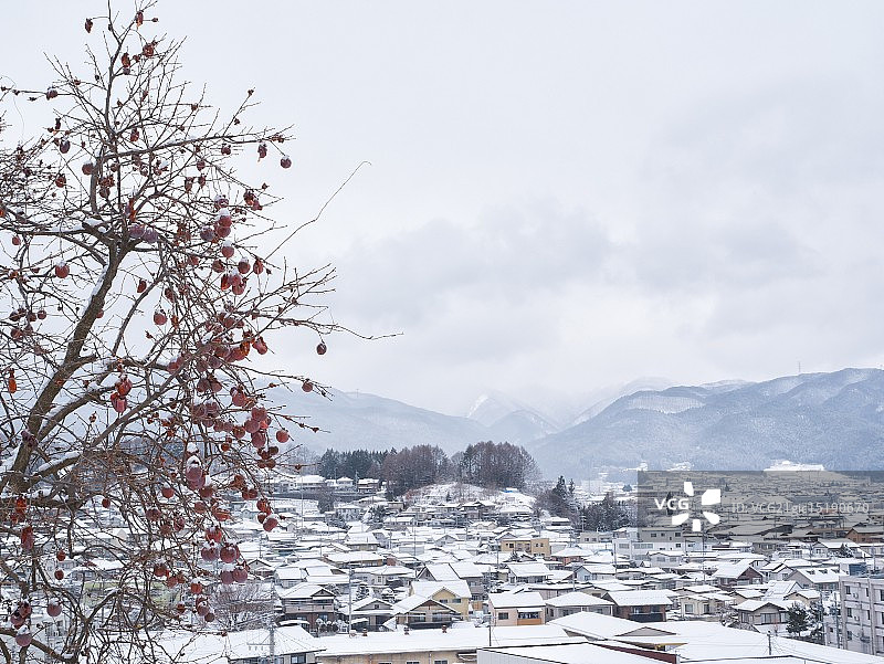 冷冻柿子图片素材