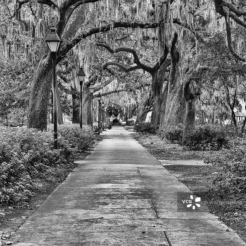 佐治亚州萨凡纳的福赛斯公园图片素材