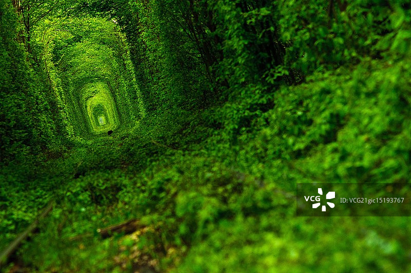 爱的隧道图片素材