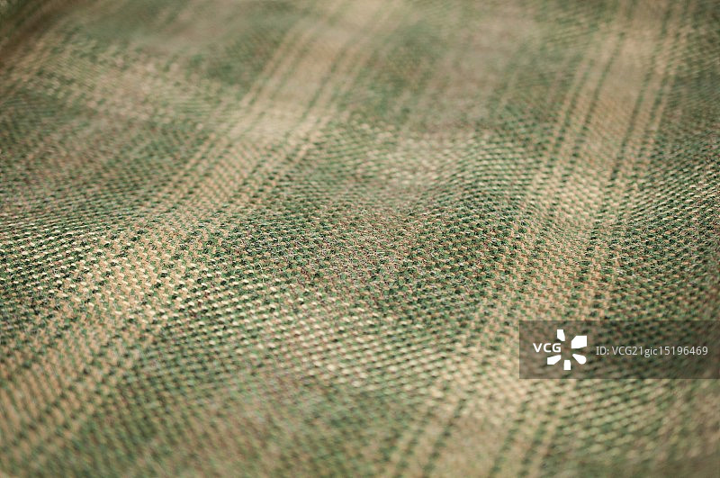 玛丽·蕾·特维德图片素材