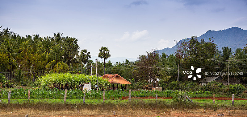 喀拉拉邦社区风光图片素材