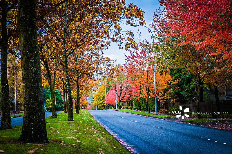 瀑布路图片素材